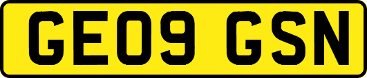 GE09GSN