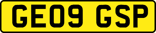 GE09GSP