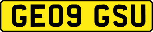 GE09GSU