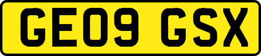 GE09GSX