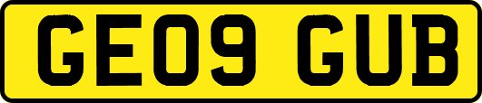 GE09GUB