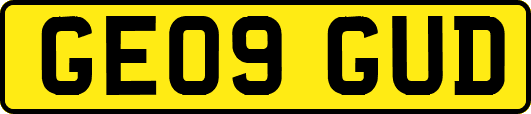 GE09GUD