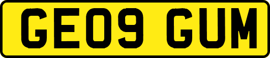 GE09GUM