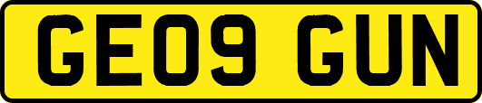 GE09GUN
