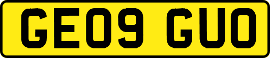 GE09GUO