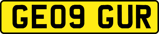 GE09GUR