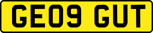 GE09GUT