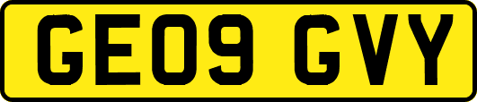 GE09GVY