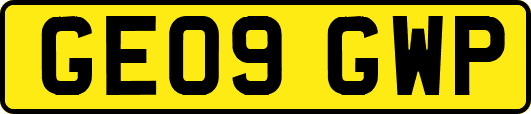 GE09GWP