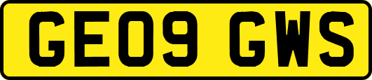 GE09GWS