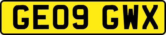 GE09GWX