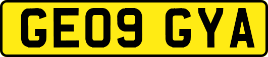 GE09GYA