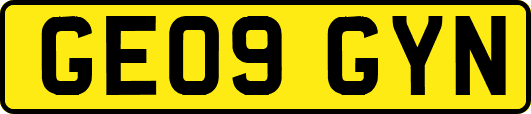 GE09GYN