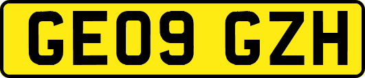 GE09GZH