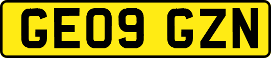 GE09GZN