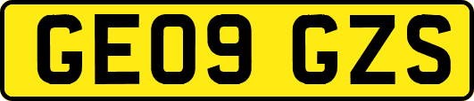 GE09GZS