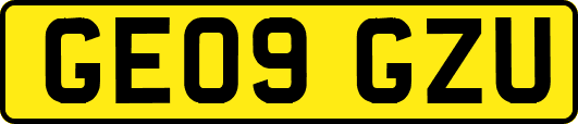 GE09GZU
