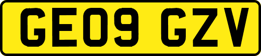 GE09GZV