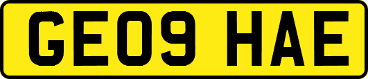 GE09HAE