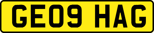 GE09HAG