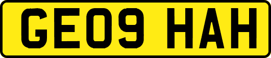 GE09HAH