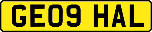 GE09HAL