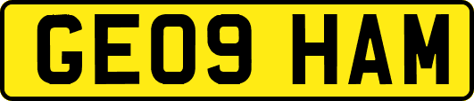 GE09HAM