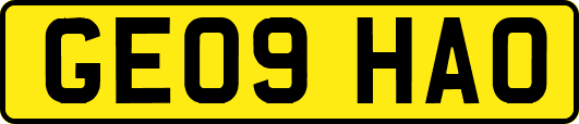 GE09HAO