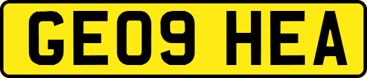 GE09HEA