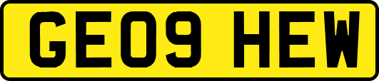 GE09HEW