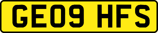 GE09HFS