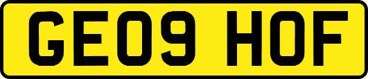 GE09HOF