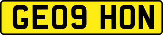 GE09HON