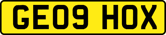 GE09HOX