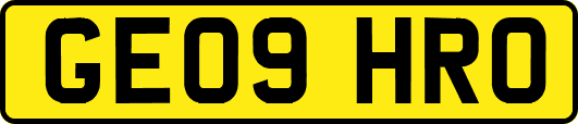 GE09HRO