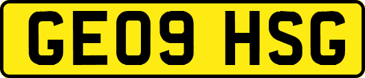 GE09HSG