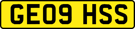 GE09HSS