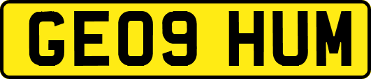 GE09HUM