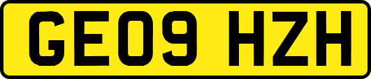 GE09HZH