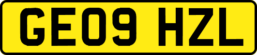 GE09HZL