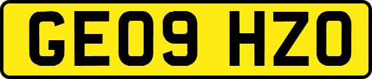 GE09HZO