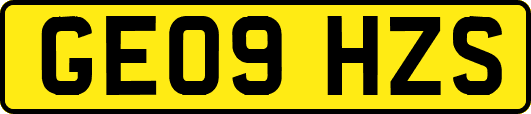 GE09HZS