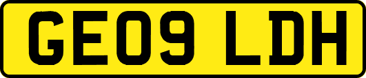 GE09LDH