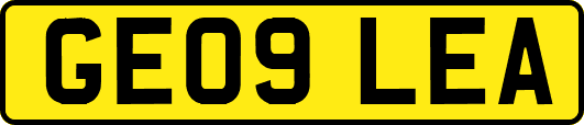 GE09LEA