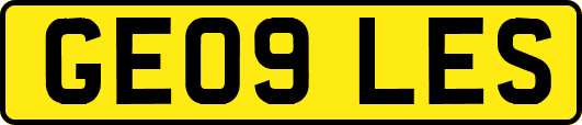 GE09LES