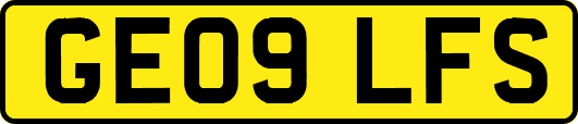 GE09LFS