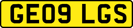 GE09LGS