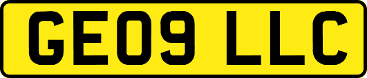 GE09LLC