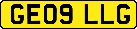 GE09LLG
