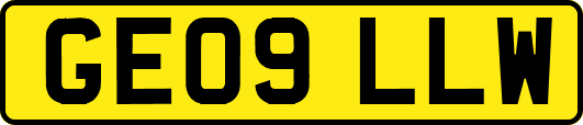 GE09LLW